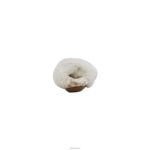 Misty Arch Support Slipper Aetrex Women Ivory XLXT0255 - Image 3